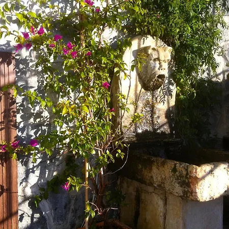 Hotel Les Alizés